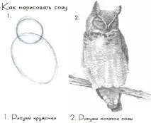 молив стъпка стъпка молив стъпка