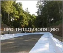 сляпа какъв