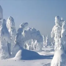 река Кожим река Кожим