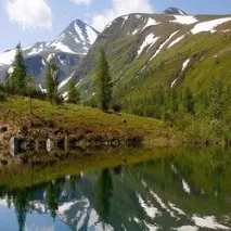 река Кожим горски плодове