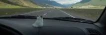 пътувате пътувате