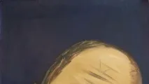 раждат картините