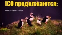 Як розпізнати scam ICO Happy Coin Club scam