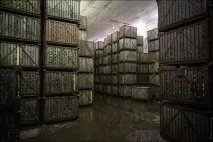 Як виробляють яблучний сік, Світ у фотографіях виробляють