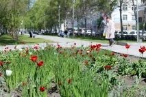 по-красив направим