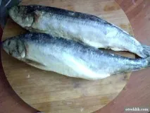 оселедець