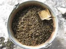 правильно