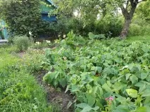 парцел разделяне земята