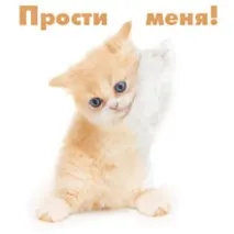 Як просити прощення у коханого хлопця коханого