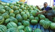 нова запазим