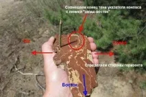 зробити