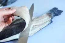 рибу