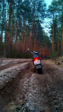 Як я підкорював бездоріжжя чи простори Мещерських лісів бездоріжжя