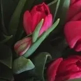 цени клиника