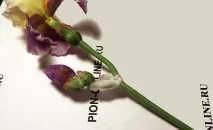 глини