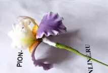 полімерної