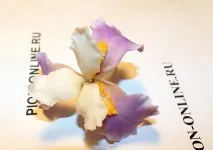 керамічна