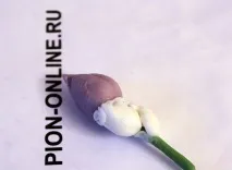 керамічна