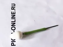 квітки
