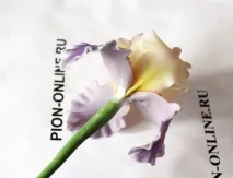 флористика
