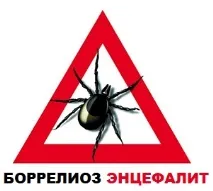 енцефаліт