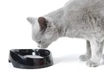 котешка ферма