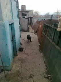нього