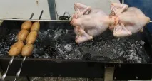 начало пиле