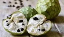 калабрия региона