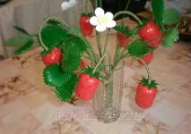 ягодов пластмасови
