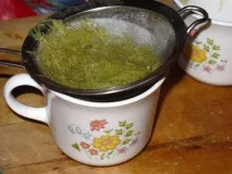 енциклопедия свойства