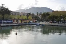 специя Мария Асунта