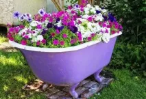 Лайфхаки для городу цікаві ідеї при вирощуванні овочевих культур овочевих