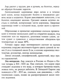 Лікувальний аїр болотного