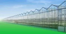 пазара маркетингови