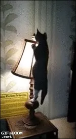 повярвам очите