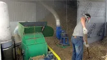 Наше виробництво грибів Глива грибів