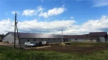 Наше виробництво грибів Глива виробництво