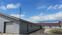 Наше виробництво грибів Глива наше