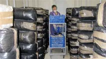 Наше виробництво грибів Глива грибів