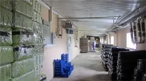Наше виробництво грибів Глива грибів