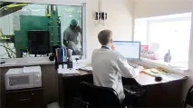 Наше виробництво грибів Глива глива