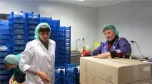 Наше виробництво грибів Глива виробництво