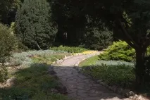 никитски никитски
