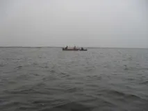 актобе шаран карась