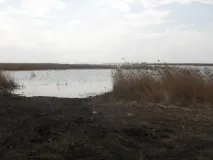 шаран карась Актобе Челябинска