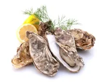 Нічого, крім правди, Корисне читання крім