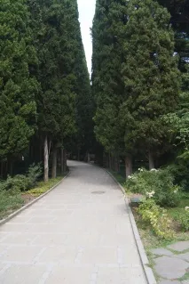 градина никитски