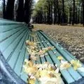 меблі