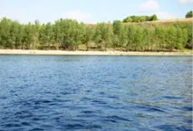 лікування